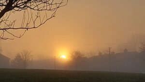 The sun sets on a foggy evening in Erkindale Drive.