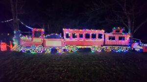 Christmas lights adorn a model train at Pat Farrell’s Winter Wonderland, Grange, Ballyragget. This is an annual fundraiser event with proceeds to a different charity each year.