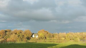 The river Erkina in flood reflects the autumn coloured trees on the Mill road on this late October day.