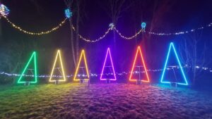 Christmas lights at Pat Farrell's Winter Wonderland, Grange, Ballyragget. This is an annual fundraiser event with proceeds to a different charity each year.